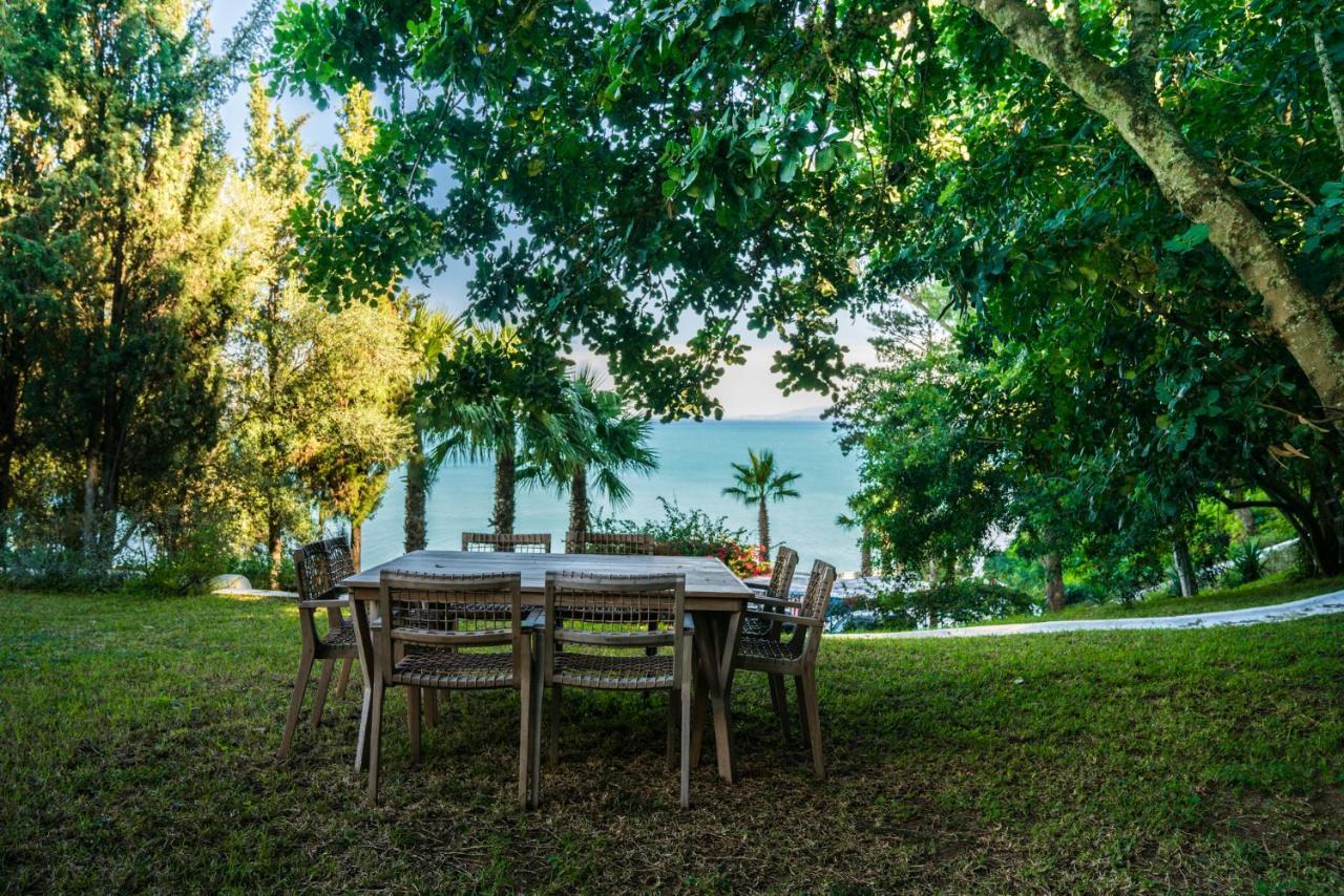 Villa Kahina Sidi Bou Ali Buitenkant foto